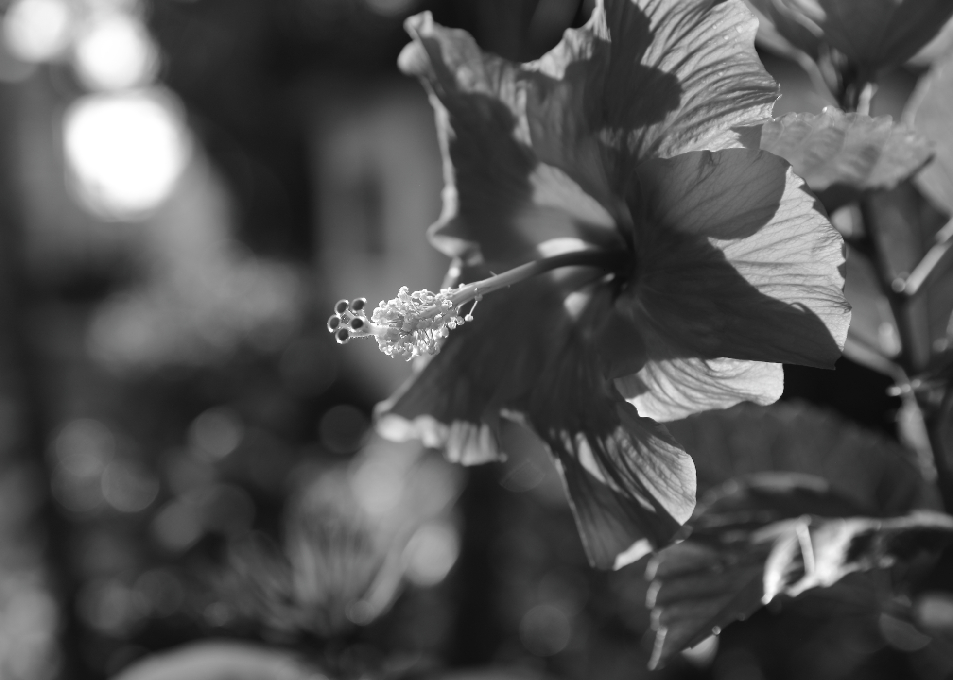 2019 09 06 HTP 90243ebw